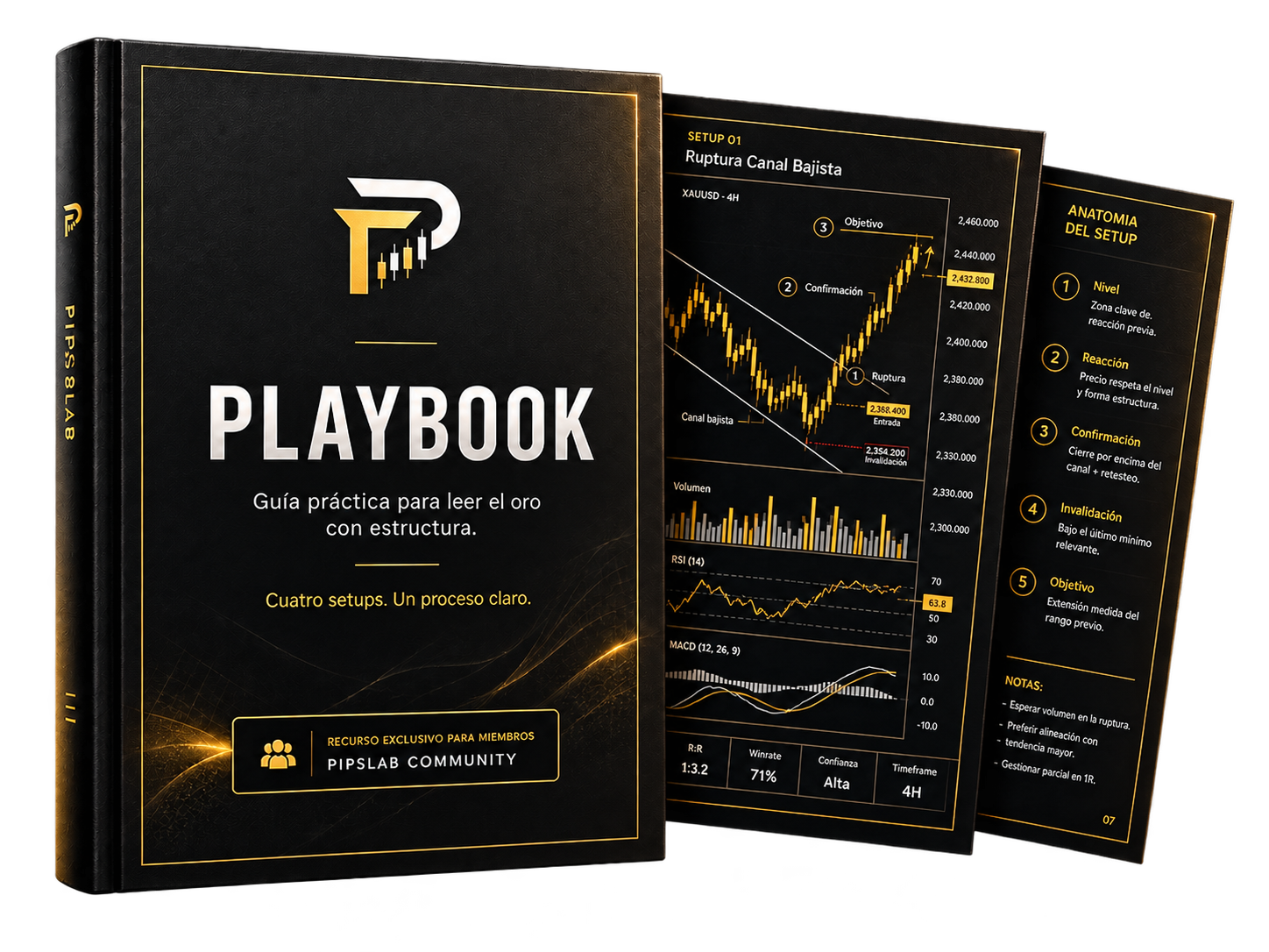 PipsLab Playbook preview
